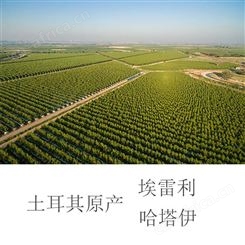黑胡萝卜浓缩汁黑胡萝卜浓缩汁现货黑胡萝卜浓缩汁