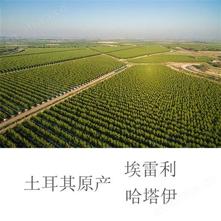 紫胡萝卜汁花青素紫胡萝卜汁现货紫胡萝卜汁高浓缩