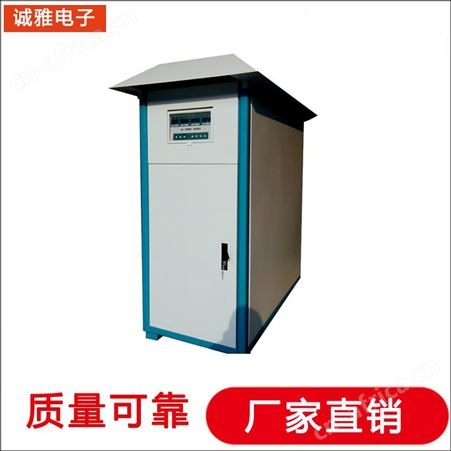 诚雅电子DSP技术生产隔离变频电源变频电源开关