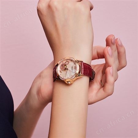 卡罗莱品牌牌机械表女士手表名女表防水简约气质新款潮