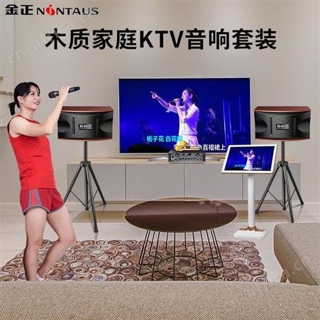 金正家庭ktv音响套装功放机音响套装音响家用电视点歌机K歌唱音响卡拉ok网络会议室舞蹈室培训客厅舞台