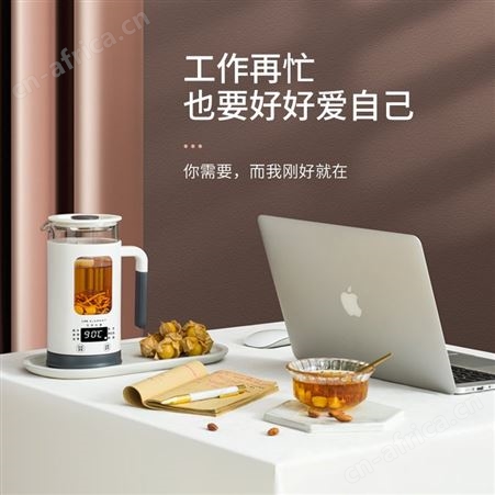 生活元素养生壶家用mini多功能煮茶器花茶办公室全自动玻璃小型