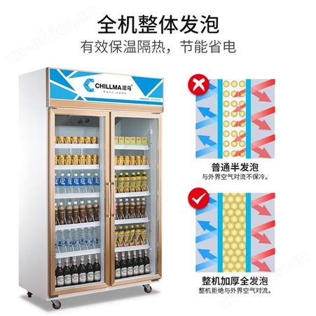 饮料柜保鲜冷藏展示立式冷柜风冷双门商用超市冰箱冰柜大容量凛马