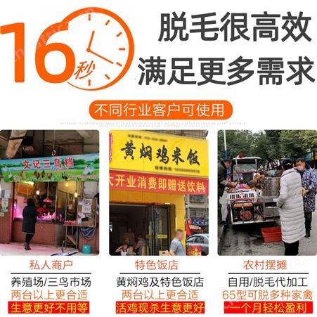 脱毛机鸡鸭鹅鸽子家禽用设备小型不锈钢杀鸡神器拔打毛机商用