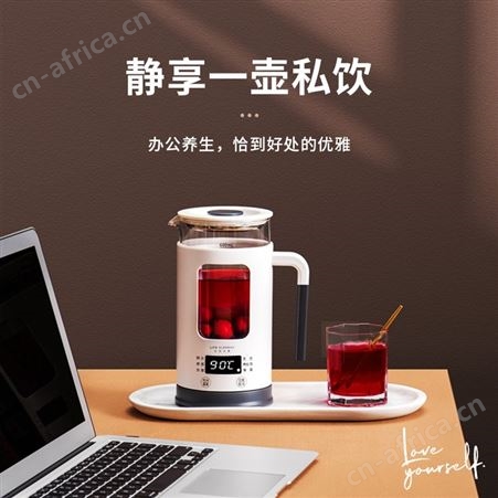 生活元素养生壶家用mini多功能煮茶器花茶办公室全自动玻璃小型