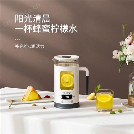 生活元素养生壶家用mini多功能煮茶器花茶办公室全自动玻璃小型