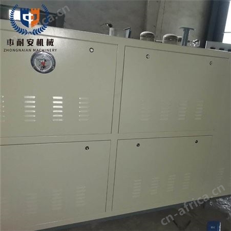 中耐安电器生产 双泵导热油炉 节能型防爆锅炉 可定制