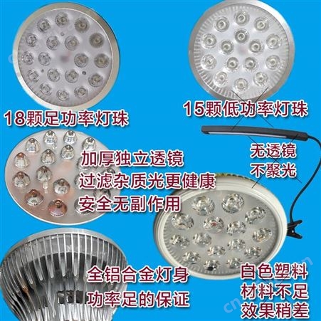 新生儿蓝光灯家用婴儿蓝光机去黄检测仪器照蓝光宝宝照蓝光出租