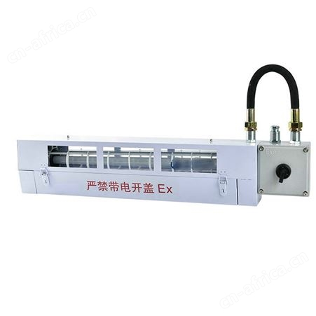BSX86-ICBY-20W防爆灭蚊灯