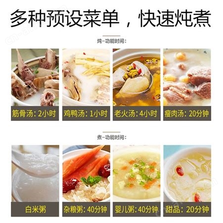 陶瓷电炖锅白瓷家用插电预约全自动快速神器大功率煲汤煮粥砂锅6L