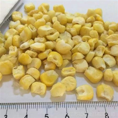 小额批发 冻干玉米 天然蔬菜干营养丰富 零食散装天然