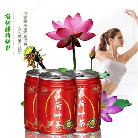 冬瓜荷叶茶 易拉罐饮品贴牌 罐装凉茶OEM贴牌代工 实力厂家一站式服务 山东康美