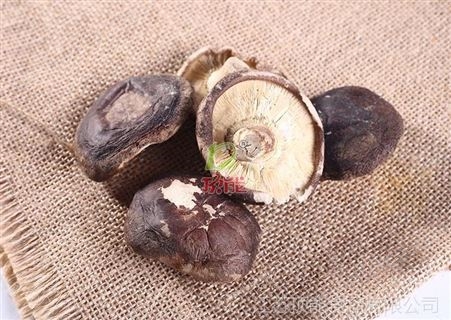 冻干香菇脱水香菇蔬菜 厂家供应各样脱水蔬菜 欢迎来电订购