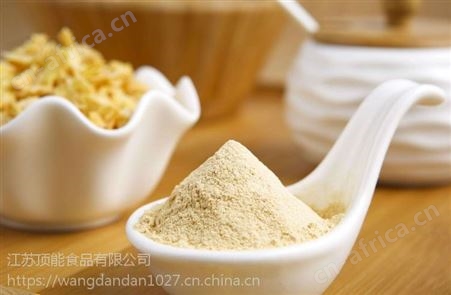 江苏顶能进口调味品洋葱粉销售