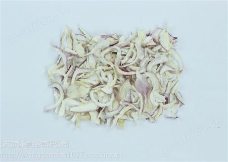 江苏顶能进口调味品洋葱粉销售