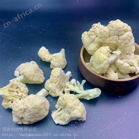 安徽FD冻干蔬菜 食品冻干花菜生产厂家