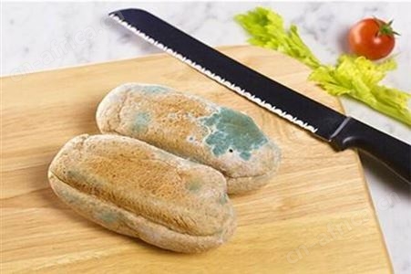 浦东提供销毁报告的销毁公司