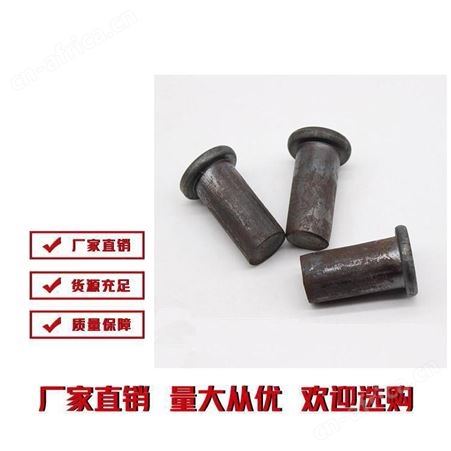 销轴铆钉 雄杰紧固件 可开专票 厂家直供