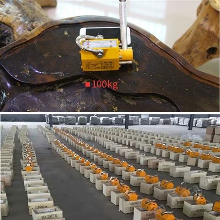 电控永磁起重器