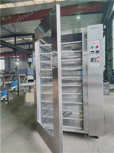 水果烘干机 小型箱式电烘箱 果蔬专用烘干设备