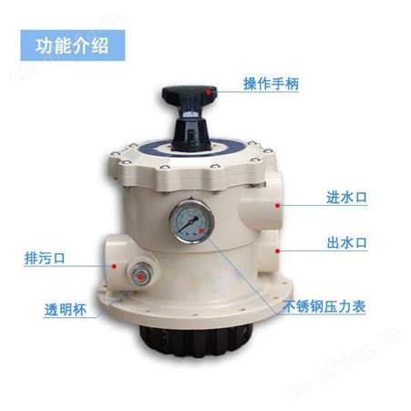 鱼池循环水处理设备 锦鲤鱼池人工湖水过滤系统 山东泳之泉设备厂家