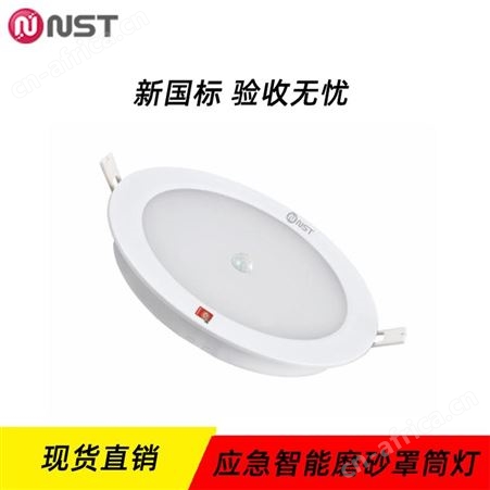 敏华应急灯拿斯特安全低压DC36V磨砂罩智能疏散照明筒灯N-ZFJC-E4W8131