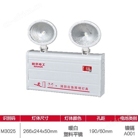 π拿斯特敏华电工应急灯图片DC36V椭圆塑料头平镜纳米板双头灯M-ZFZD-E0.5W3025