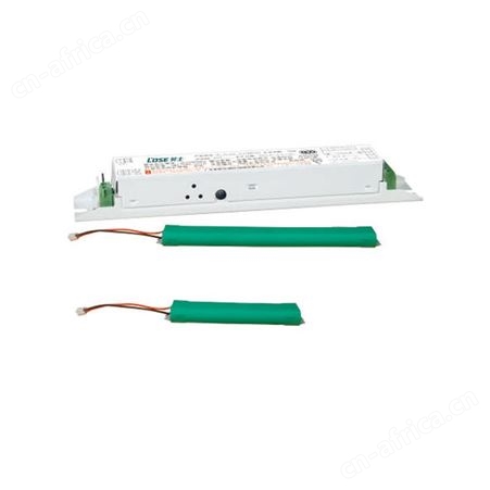 劳士消防电源监控系统应急组合式T8LED支架加12V-7.2V镍镉电池N-ZLZD-E20W1373