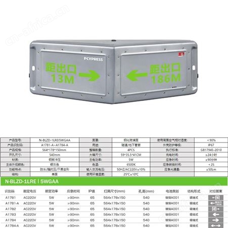 劳士应急照明灯飞普利斯IP65防爆防水应急灯隧道AC220V米标灯N-BLZD-1LREI5WGAA