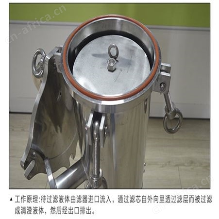 布袋过滤器 衡水厂家 滤芯式微孔过滤器 各类布袋过滤器