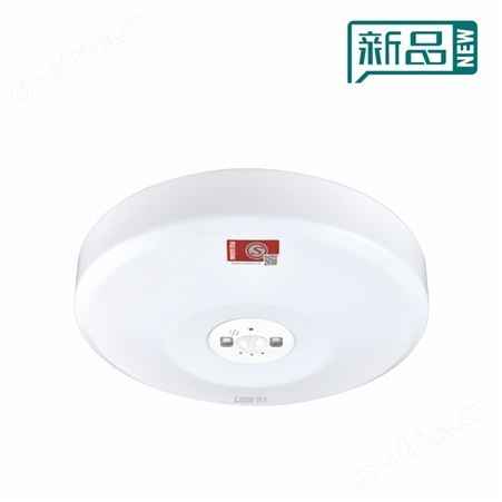 劳士敏华拿斯特应急灯价格智能LED直边红外感应大号吸顶灯L-ZFZD-E5W1276