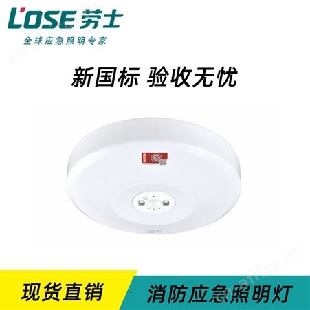 劳士敏华拿斯特应急灯价格智能LED直边红外感应大号吸顶灯L-ZFZD-E5W1276