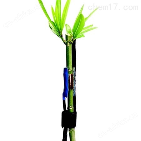 SGDC 外皮包裹式植物茎流（液流）传感器