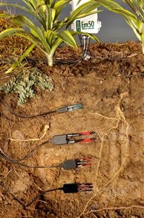 ZL6 土壤含水量、水势监测系统