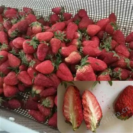 【镧泰】玫瑰花烘干机玫瑰花微波烘干机玫瑰花冻干机玫瑰花温烘干机 能耗较传统低一半 保留原色营养 批次加工效率高 上海厂家