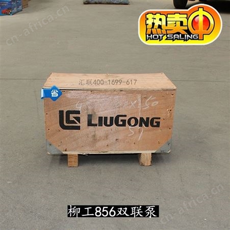 装载机配件 铲车柳工856转向泵 双联泵齿轮油泵总成 件号11C0168