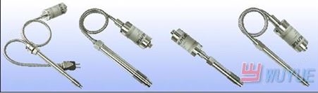 PT1366软管型双测高温熔体压力传感器(flexible canal temperature and pressure dulmeasuring)