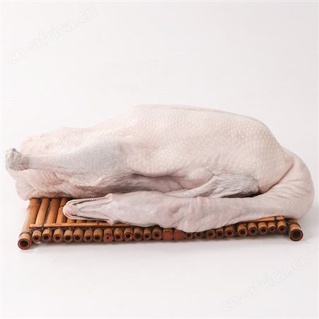 光鹅批发厂家黑棕鹅