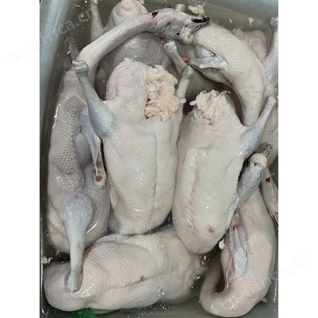 正宗黑棕鹅 批发冻黑棕鹅 冰冷急冻鹅肉 卤鹅翅食材 鲜鹅皇