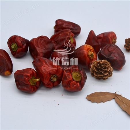 贵州地区大灯笼椒 微辣特香  优友供应链辣椒产地直销