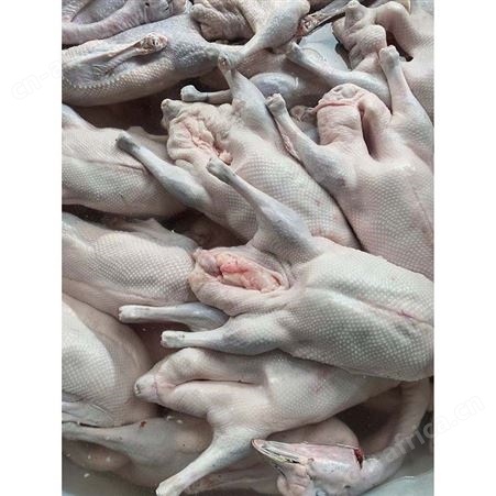 食品黑棕鹅 批发冷冻黑棕光鹅 源头工厂 鲜鹅皇