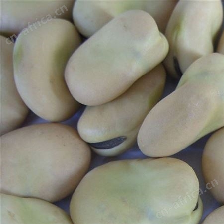 红油郫县豆瓣酱 炒菜拌面调料酱火锅干锅酱调味酱专用家用 四川豆瓣批发  优友供应链