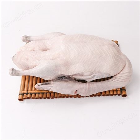 光鹅批发厂家黑棕鹅