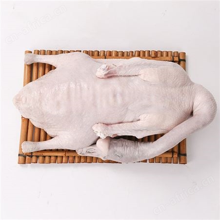 棚鹅批发厂家
