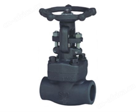 VTON进口内螺纹锻钢闸阀