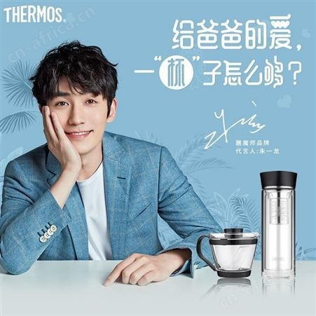 膳魔师TCGB-400 +iwaki进口茶壶礼盒定制  商务礼品定制 员工礼品团购