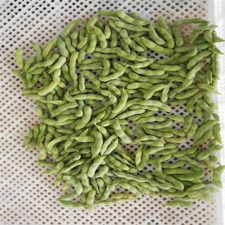 绿拓食品速冻香葱供应 冷冻果蔬食品现货出售