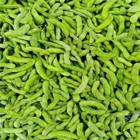 家庭速冻食品冷冻毛豆荚 餐厅配菜麻辣毛豆荚价格实惠日照绿拓食品
