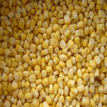 日照绿拓食品速冻玉米 速冻蔬菜厂家