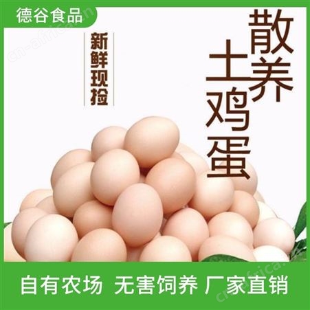 虫草鸡蛋经销商_德谷食品_散养草鸡蛋_节日礼盒装